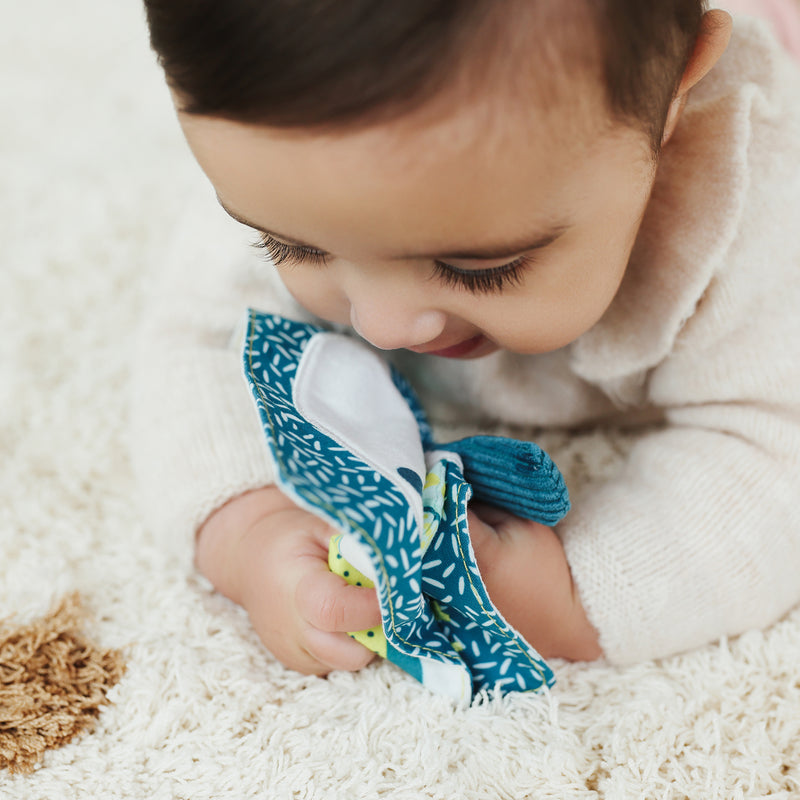 Sea Lion Crinkly Sensory Paper Feel To Learn