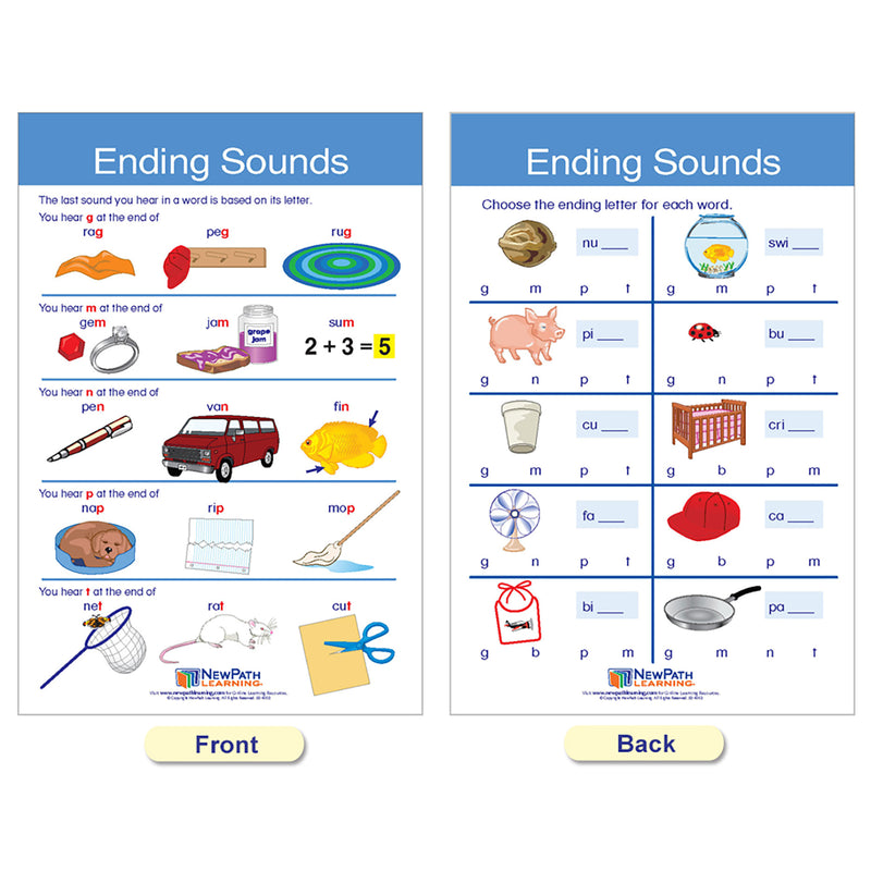 Decoding & Phonics Bulletin Board Charts, Set of 8
