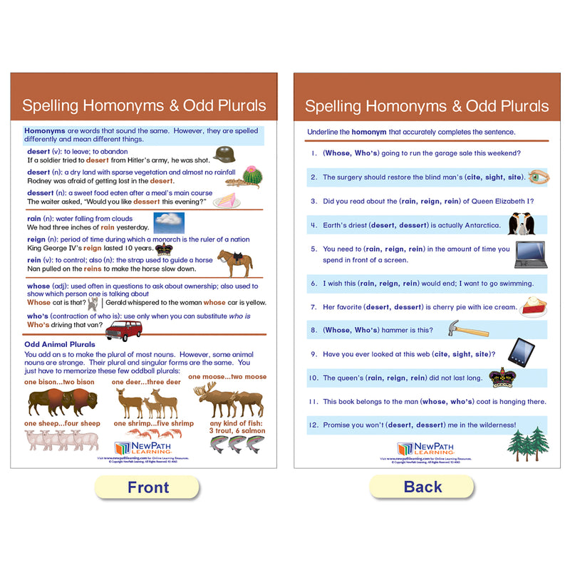 Spelling Rules Bulletin Board Chart Set - Set of 7