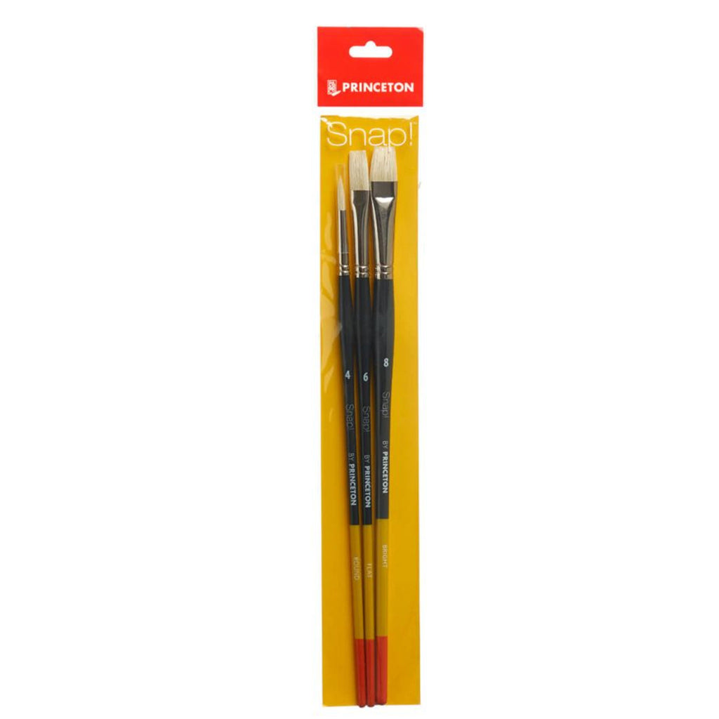 Snap Brush Set 4 Long 3ct W/bright8 Flat6 Round4