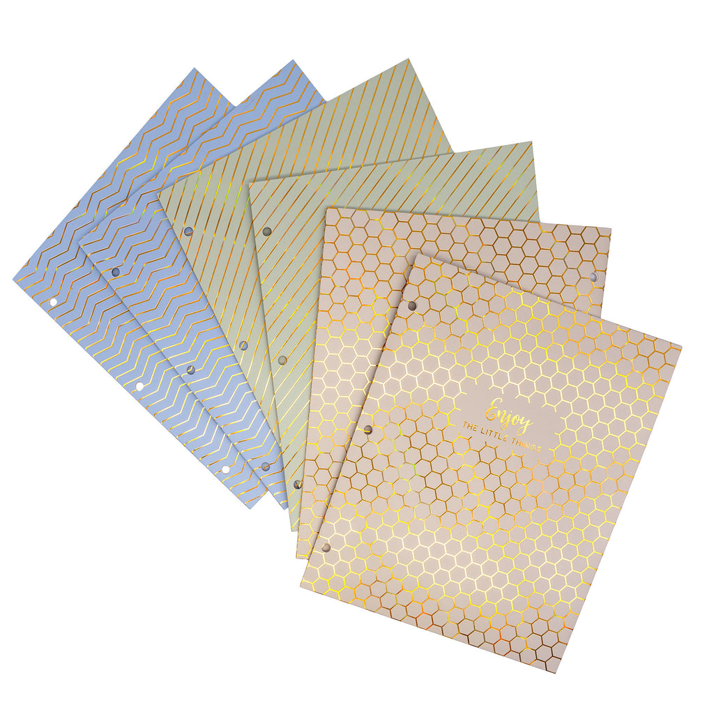 Haze 2-pocket Portfolio Letter 6pk