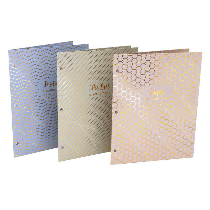 Haze 2-pocket Portfolio Letter 6pk