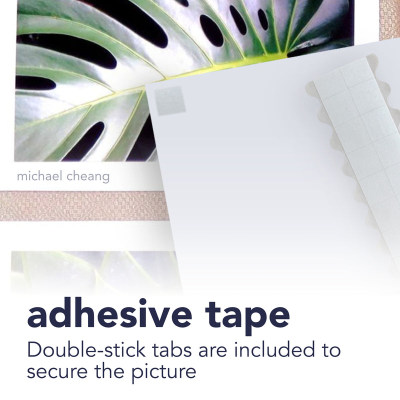 Photo Mount Cards & Envelopes, Decorative Embossed Border, 5x6.875 inch, 50 Pack