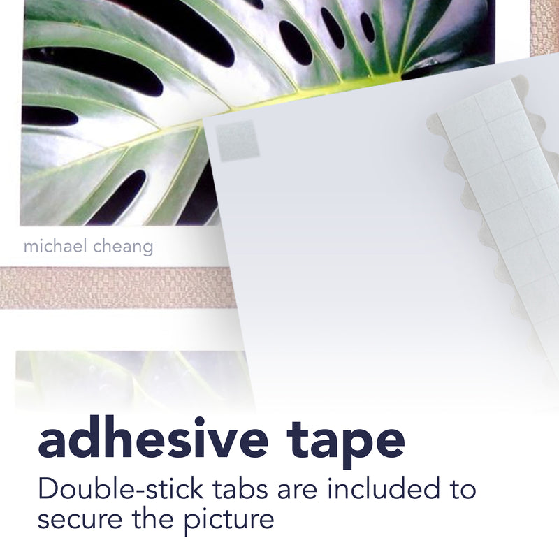 Photo Mount Cards & Envel Embossed 5x6.875in 6pk
