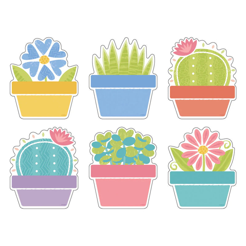 Garden Plants Classic Accents