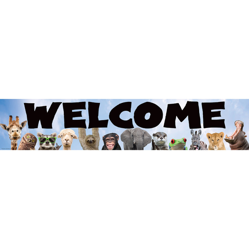 Go Wild Animals Welcome Banner, 8" x 39", Pack of 6