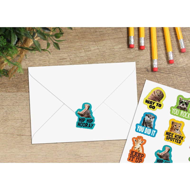 Go Wild Animals Stickers