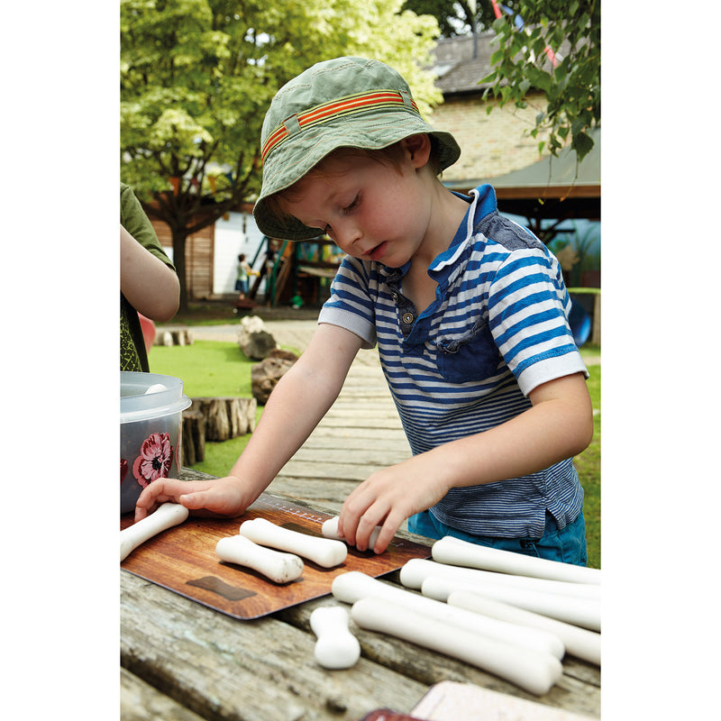 Dinosaur Bones Activity Cards