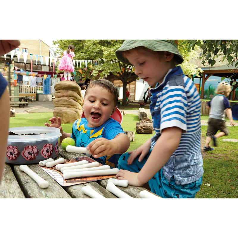 Dinosaur Bones Activity Cards