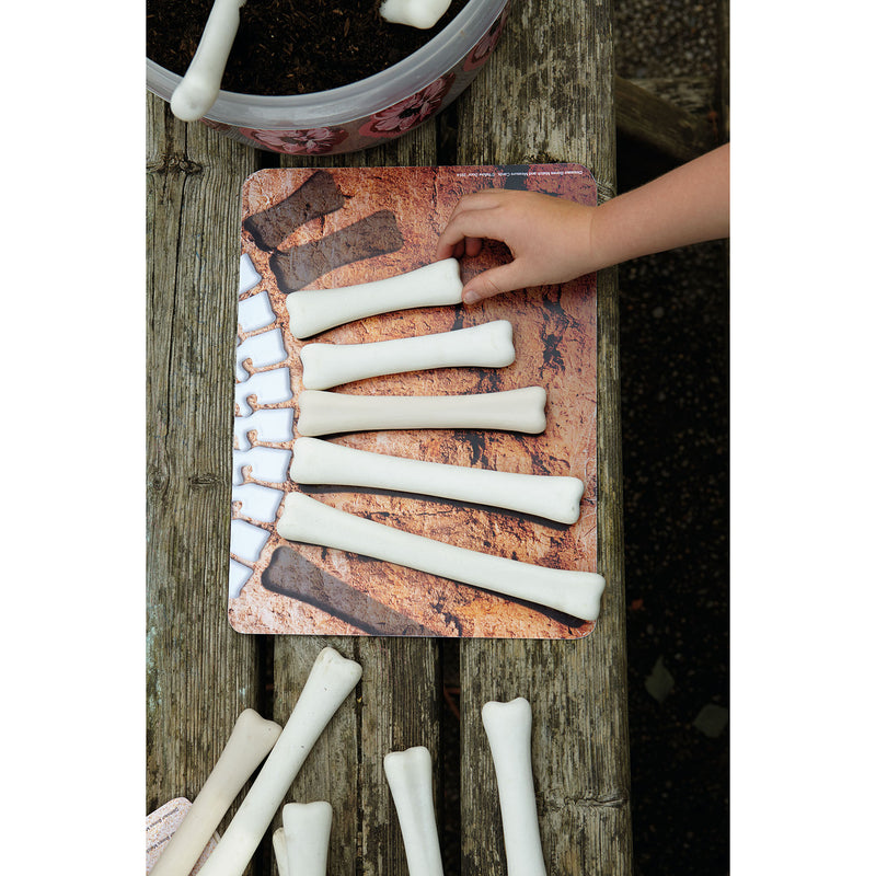 Dinosaur Bones Activity Cards