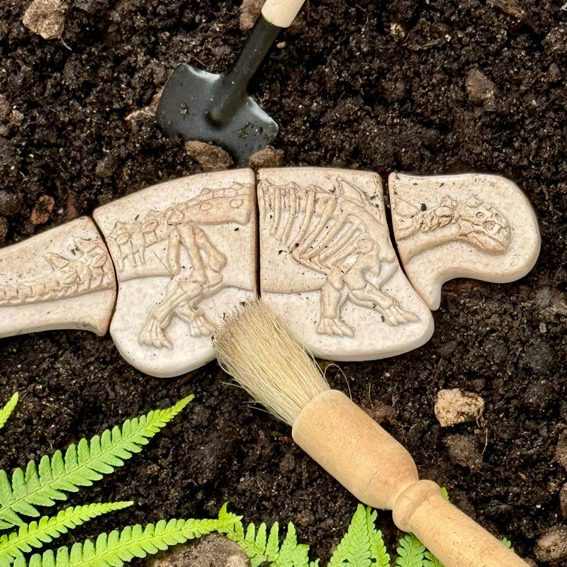 Ankylosaurus & Tyrannosaurus Rex Dig & Discover