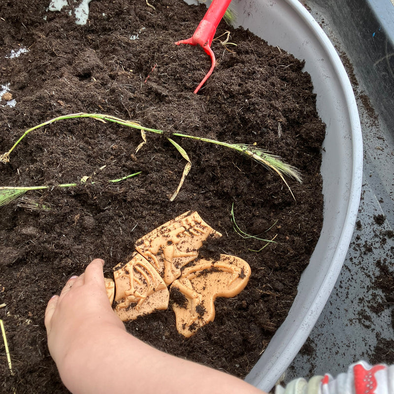 Ankylosaurus & Tyrannosaurus Rex Dig & Discover