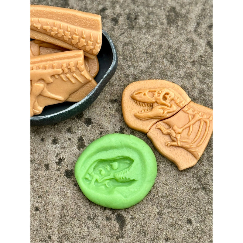 Ankylosaurus & Tyrannosaurus Rex Dig & Discover