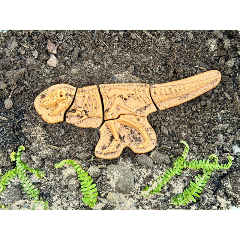 Ankylosaurus & Tyrannosaurus Rex Dig & Discover