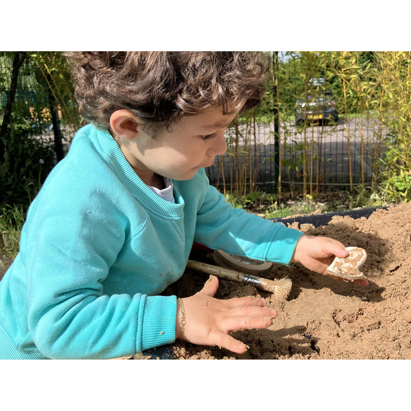 Ankylosaurus & Tyrannosaurus Rex Dig & Discover