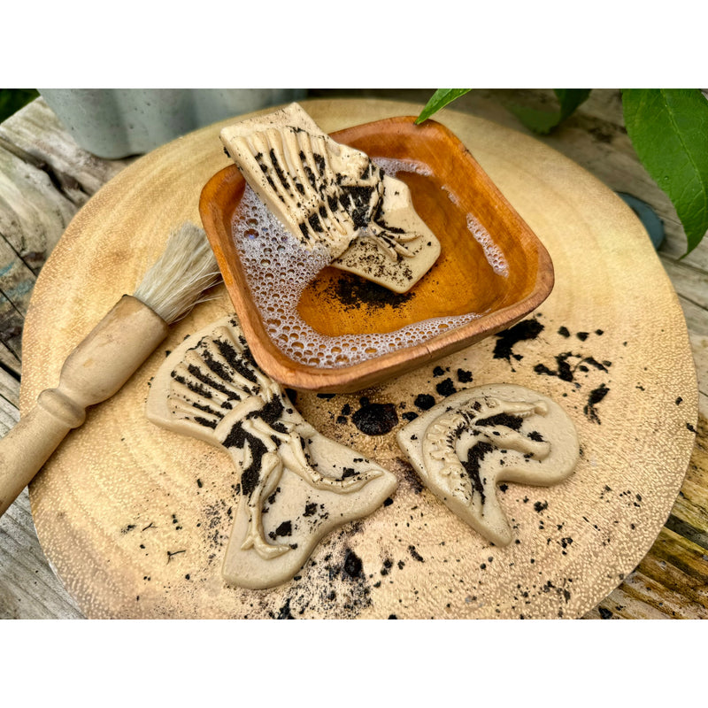 Triceratops & Spinosaurus Dig & Discover