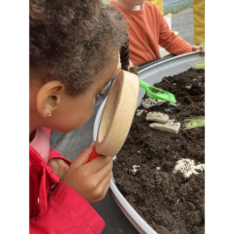 Triceratops & Spinosaurus Dig & Discover