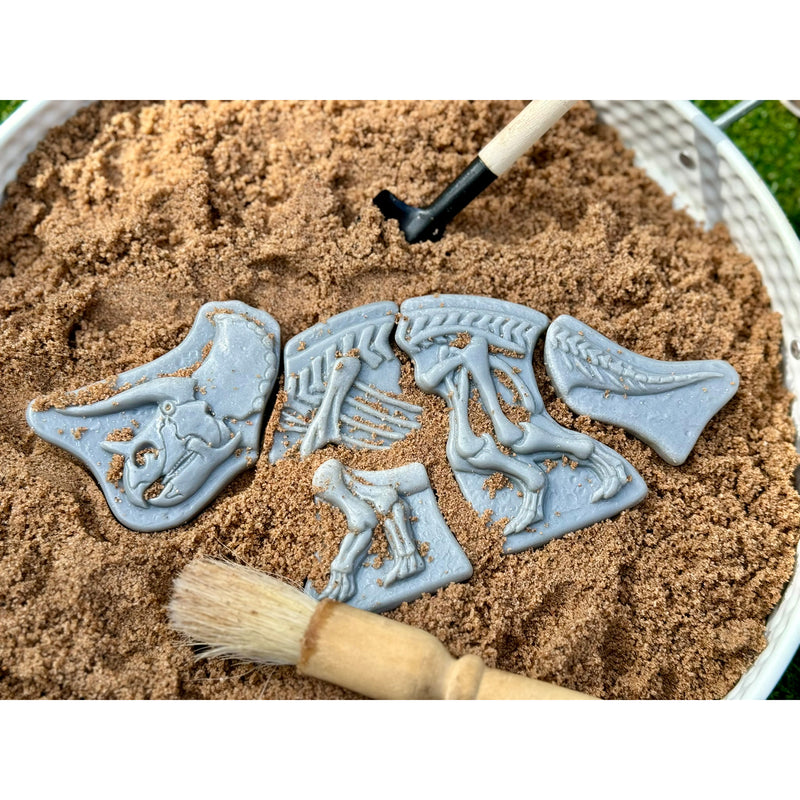 Triceratops & Spinosaurus Dig & Discover