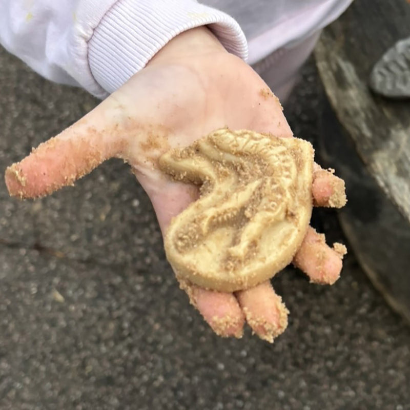Triceratops & Spinosaurus Dig & Discover