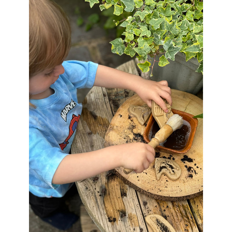 Triceratops & Spinosaurus Dig & Discover