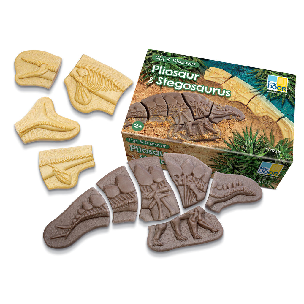 Pliosaur & Stegosaurus Dig & Discover