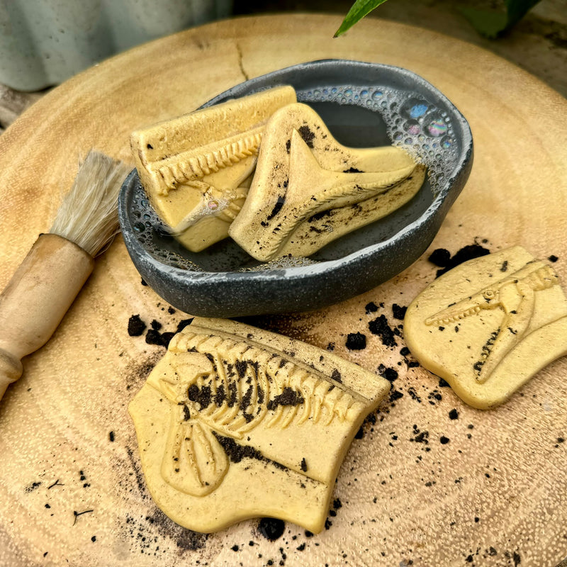 Pliosaur & Stegosaurus Dig & Discover
