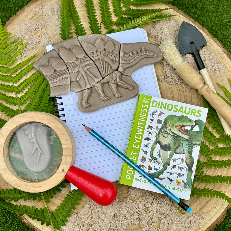 Pliosaur & Stegosaurus Dig & Discover