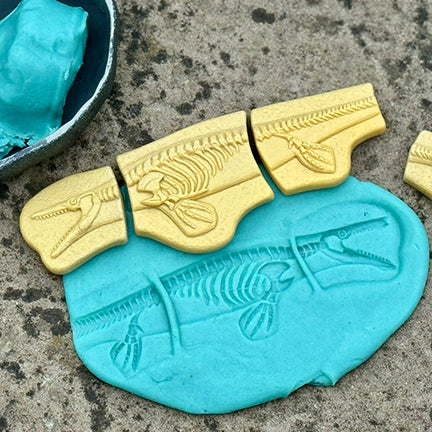 Pliosaur & Stegosaurus Dig & Discover