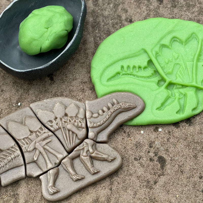 Pliosaur & Stegosaurus Dig & Discover