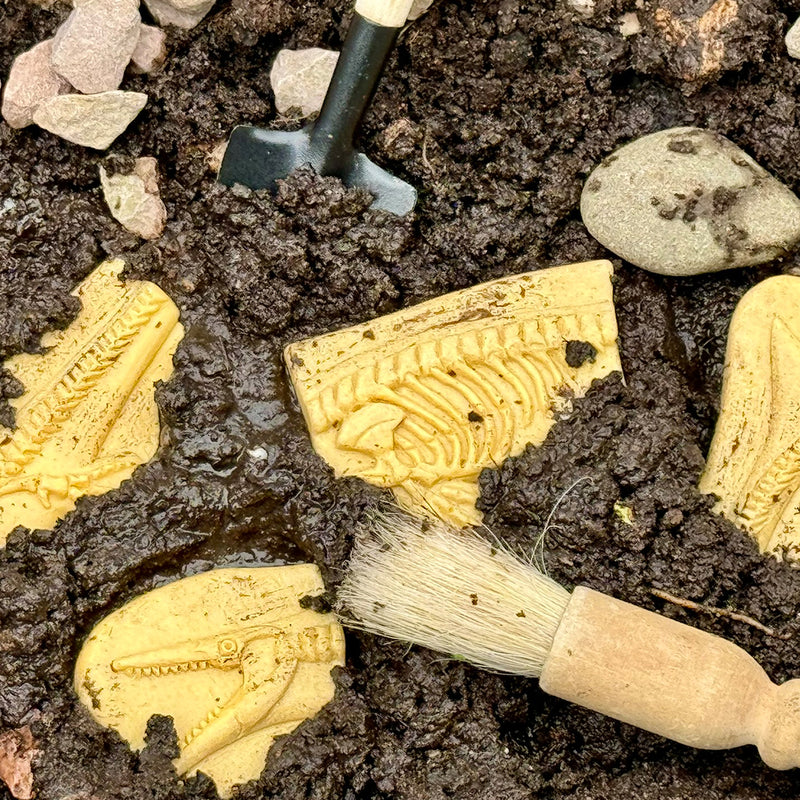 Pliosaur & Stegosaurus Dig & Discover