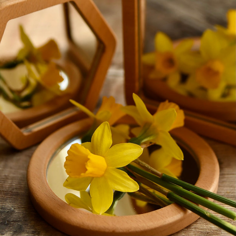 Little Looking Shape Mirrors 4/st