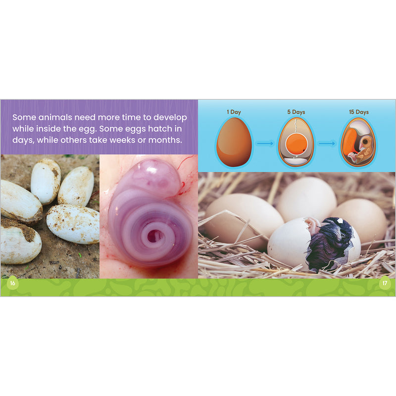 What Is Hatching?