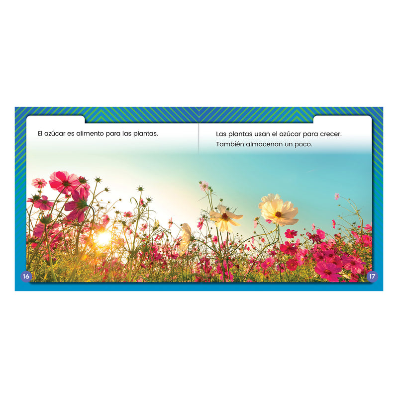 Plantas hambrientas