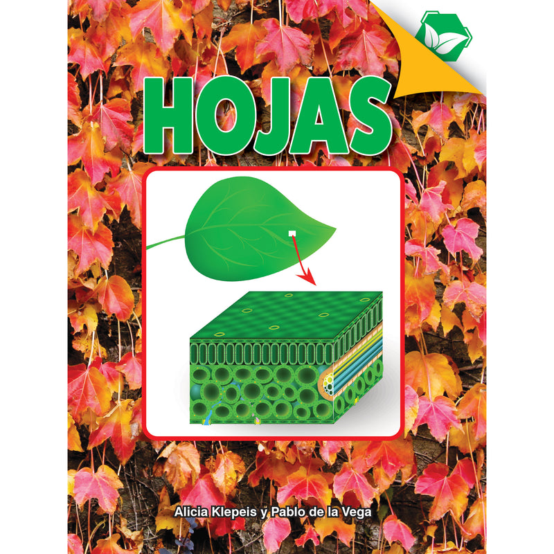 Hojas Hardcover Spanish Book