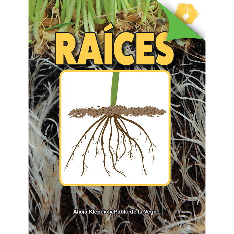 Raices Hardcover Spanish Book