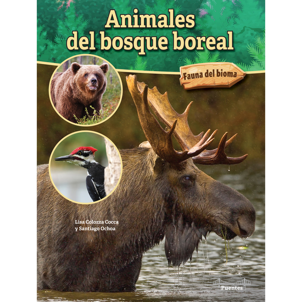 Animales del bosque boreal Hardcover