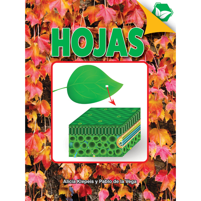 Hojas Paperback Spanish Book