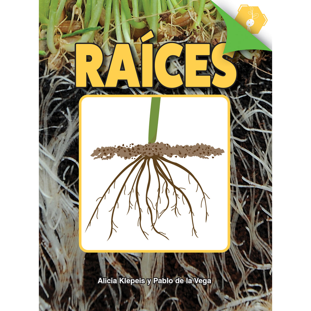 Raices Paperback Spanish Book