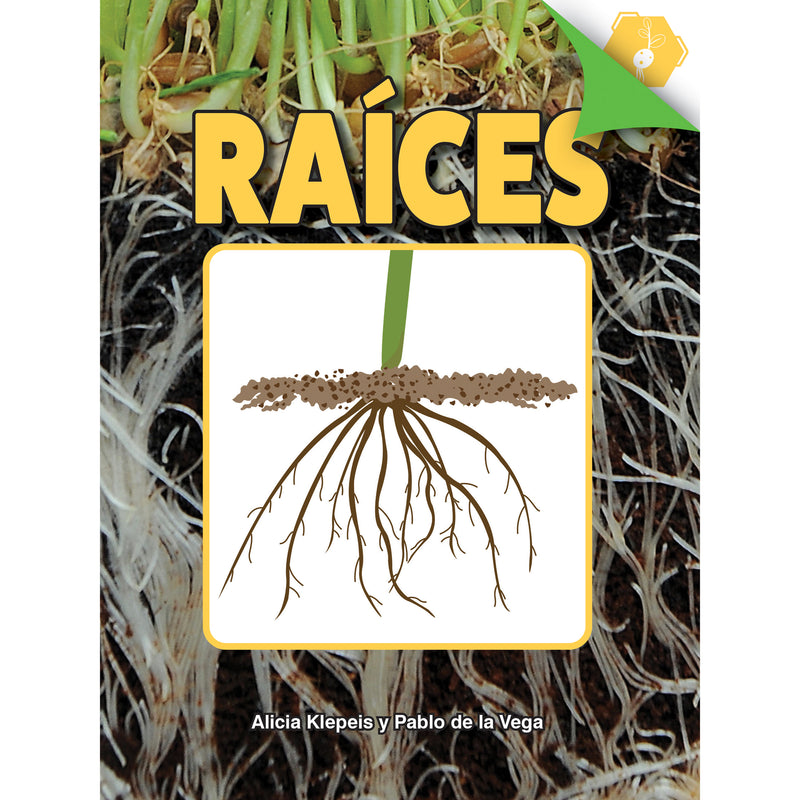 Raices Paperback Spanish Book