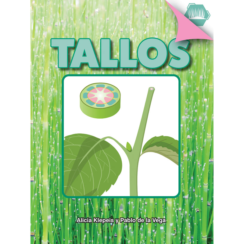 Tallos Paperback Spanish Book