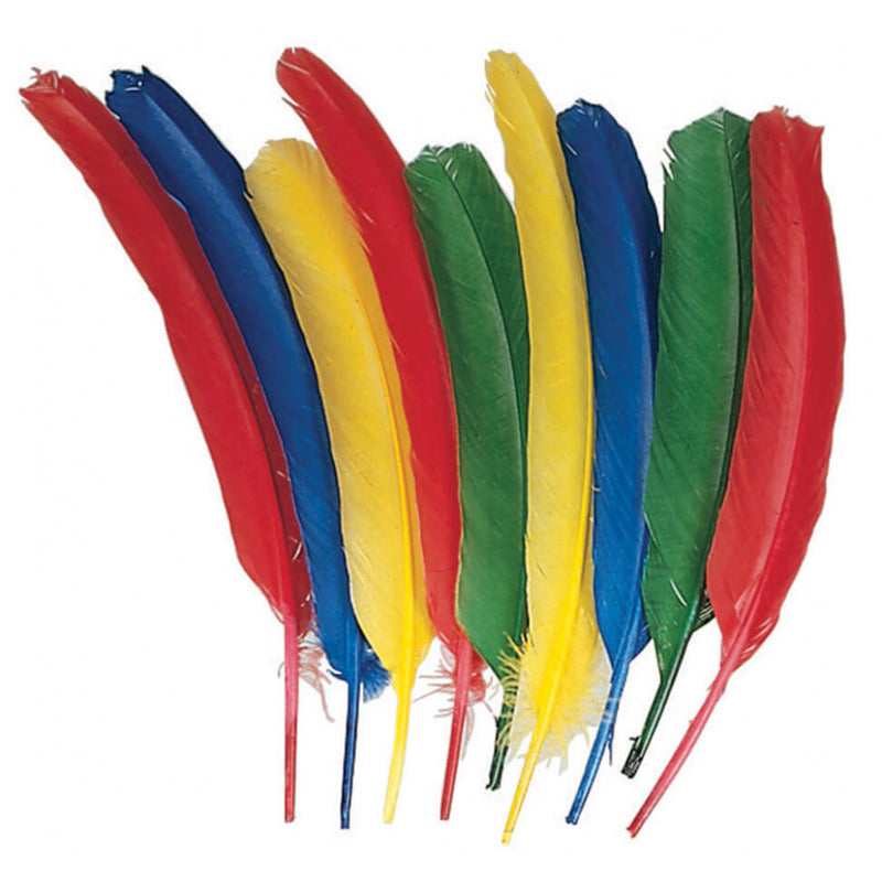 Quill Feathers 12in Asst Color 24pk