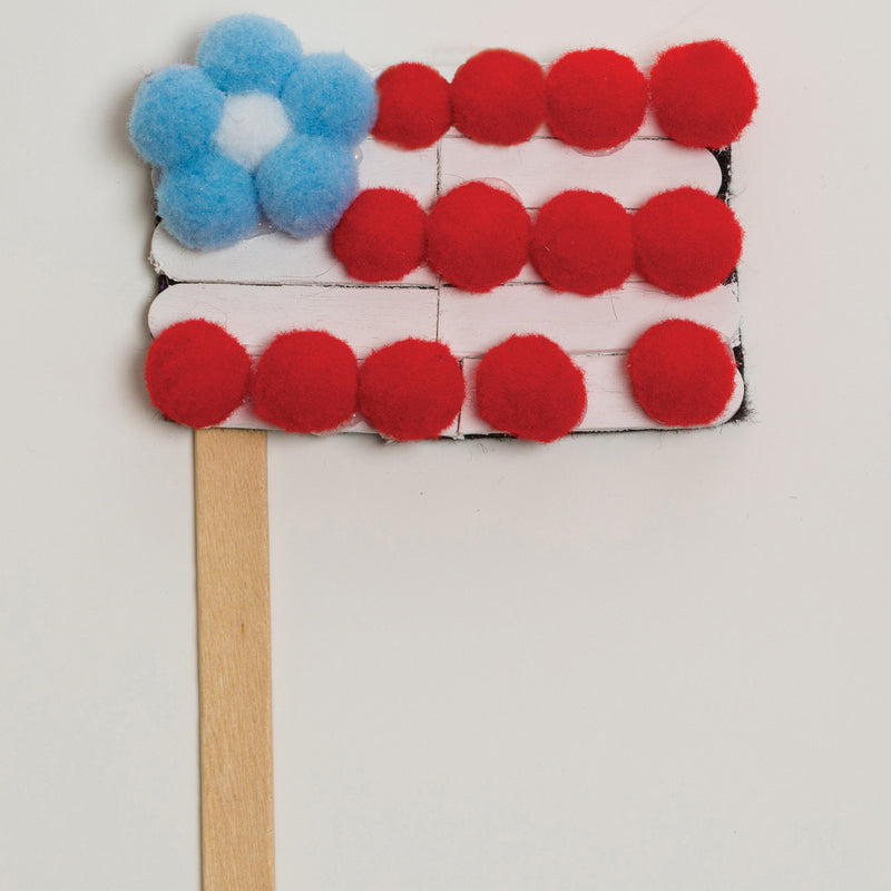 Pom Pons Assorted 1 Lb. Bag