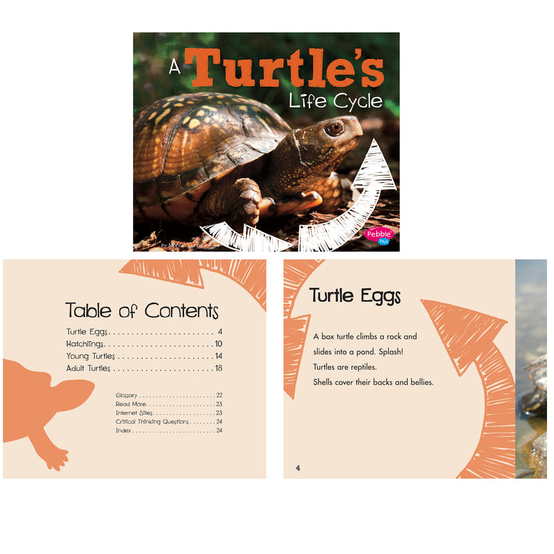Explore Life Cycles St Of 6 Books