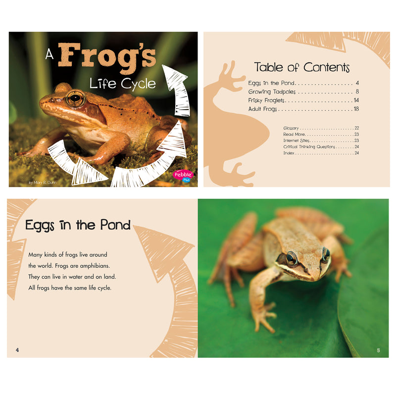 Explore Life Cycles St Of 6 Books