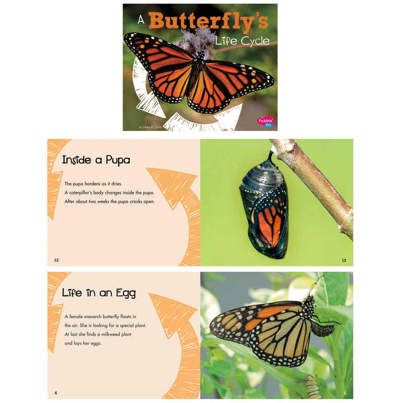 Explore Life Cycles St Of 6 Books
