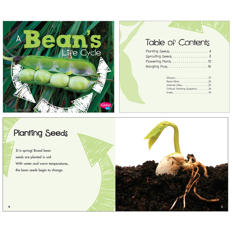 Explore Life Cycles St Of 6 Books