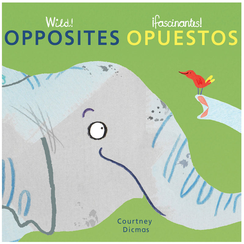 Wild! Concepts Board Books, Set of 4