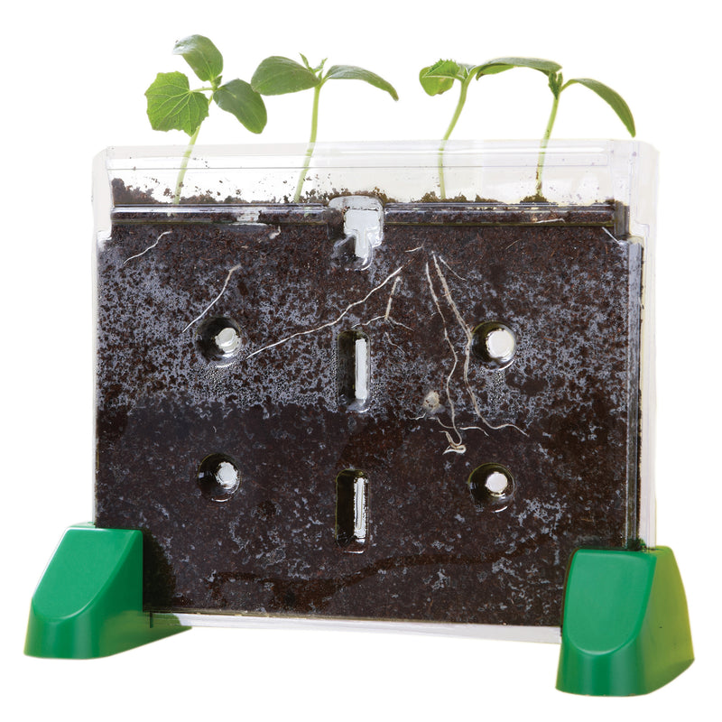 Sprout & Grow Window Gr K & Up