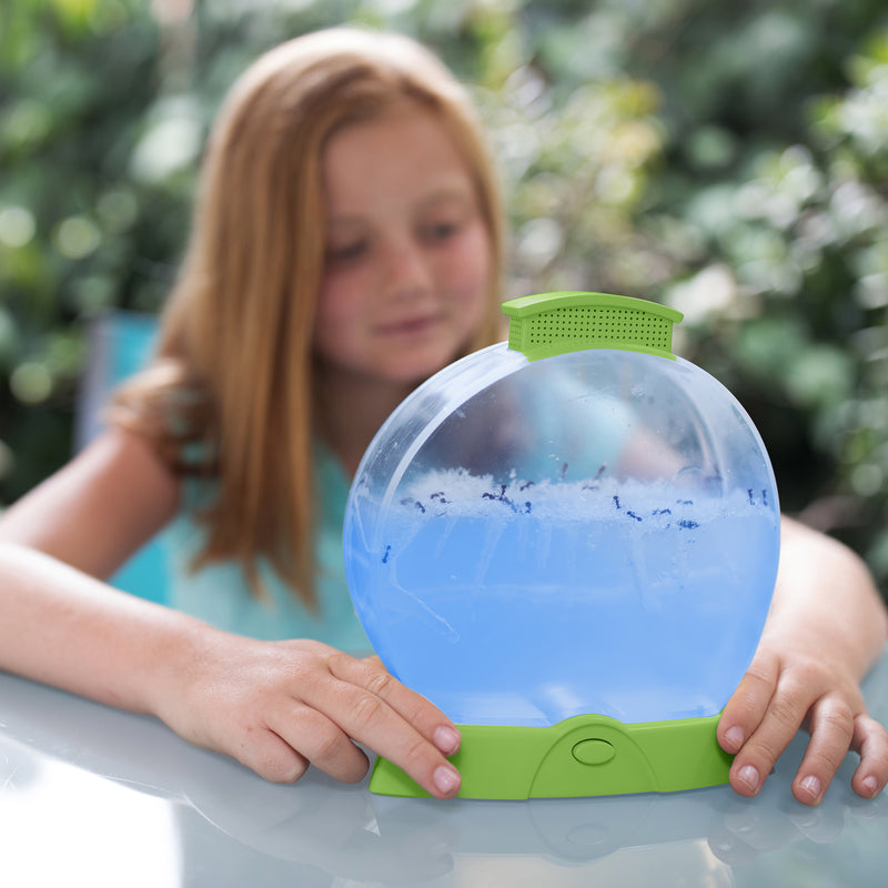 Geosafari Day N Night Ant Farm