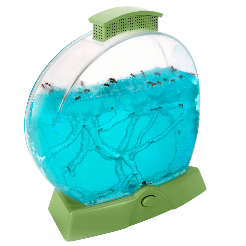 Geosafari Day N Night Ant Farm